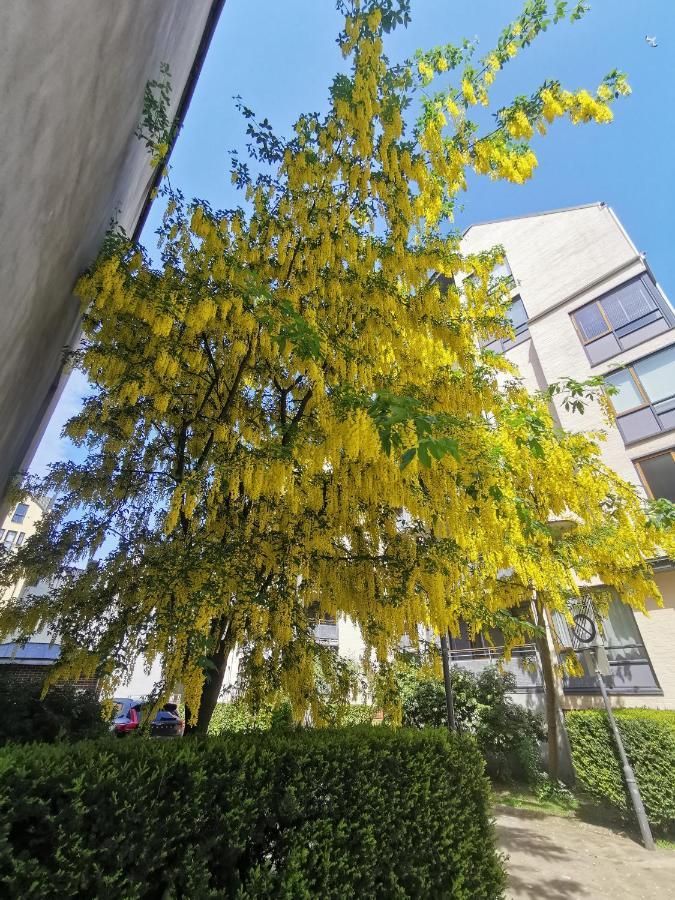 80 Square Metre Flat In The Heart Of Bergen - 2 Big Bedrooms エクステリア 写真